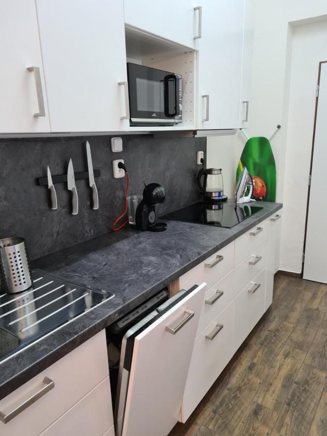 Ferienwohnung Svetly Prostorny Byt V Karline Prag Exterior foto